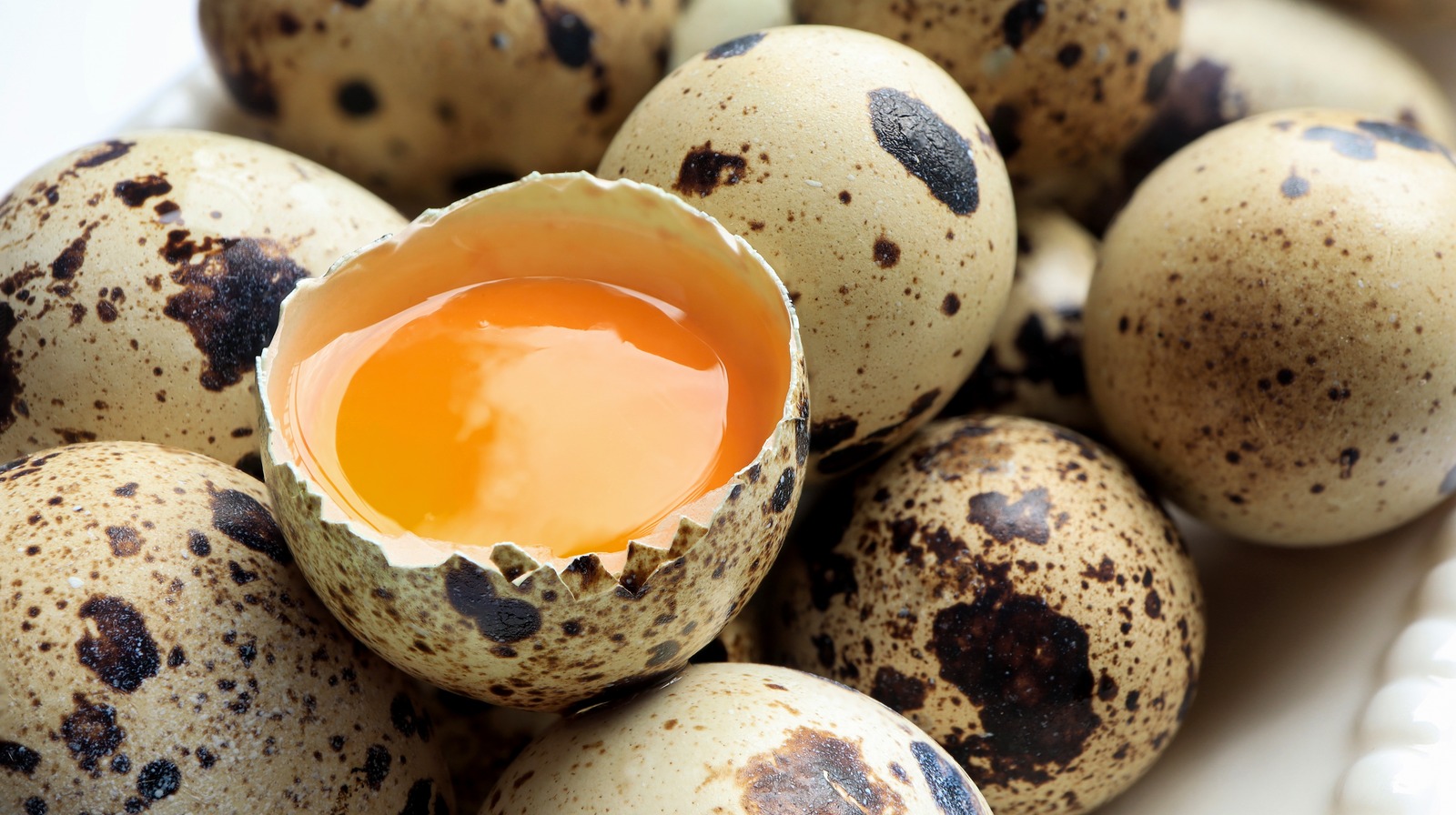 Close-up of speckled coturnix quail eggshells